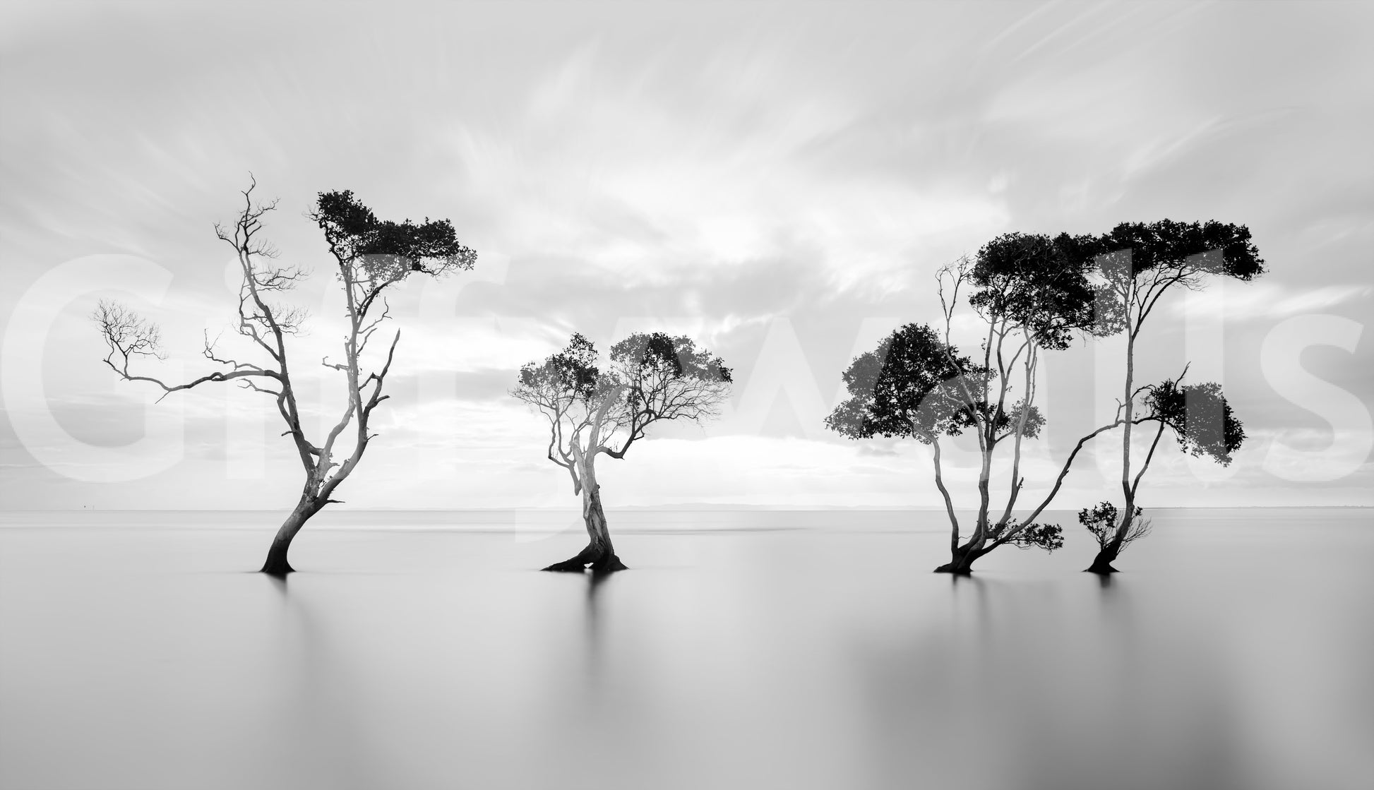 A beautiful modern art wall mural of a minimalist forest.

