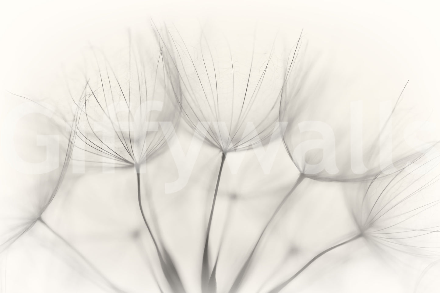 An artistic nature inspired mural for home decor.

