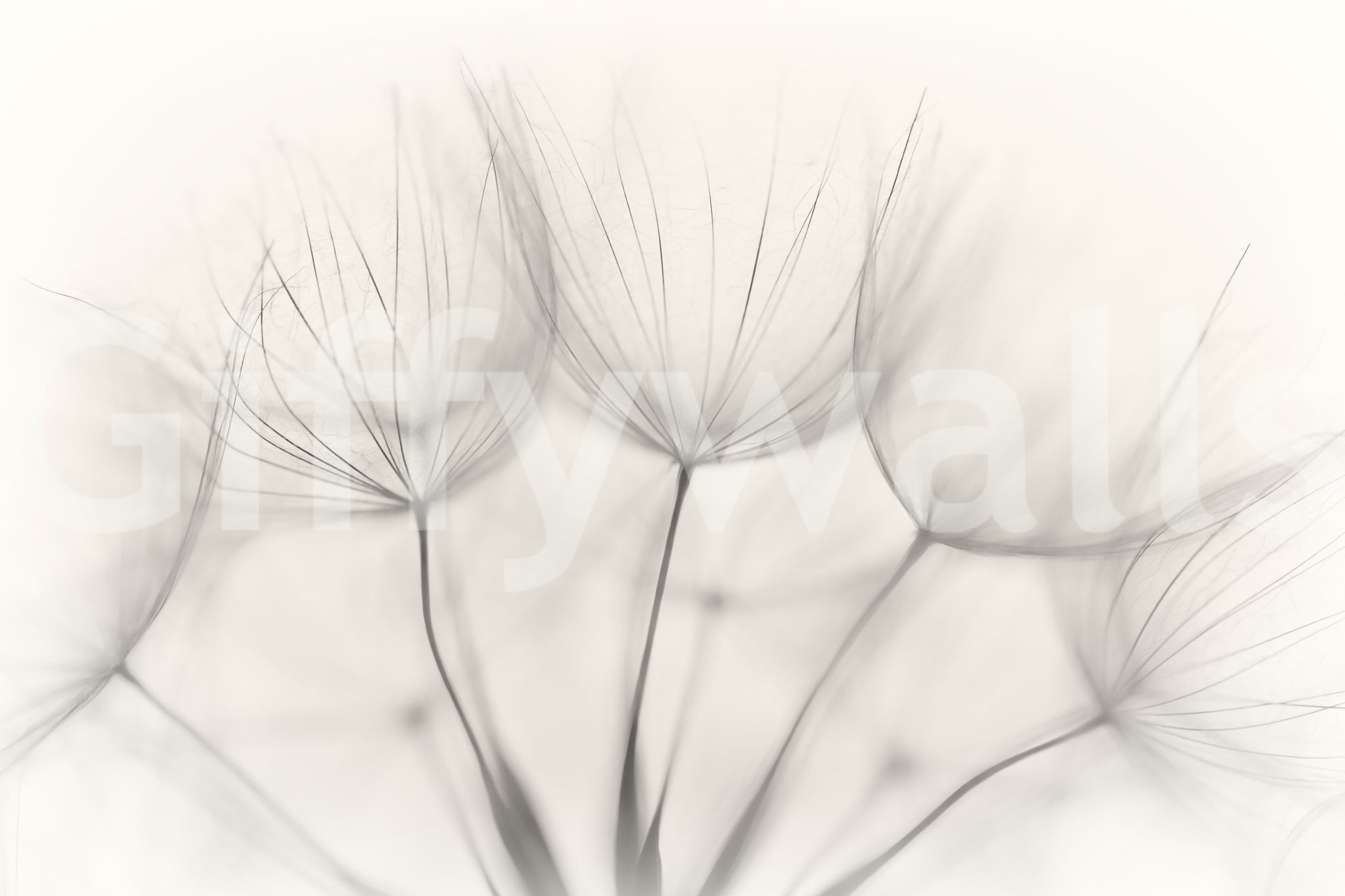 An artistic nature inspired mural for home decor.

