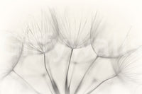 An artistic nature inspired mural for home decor.

