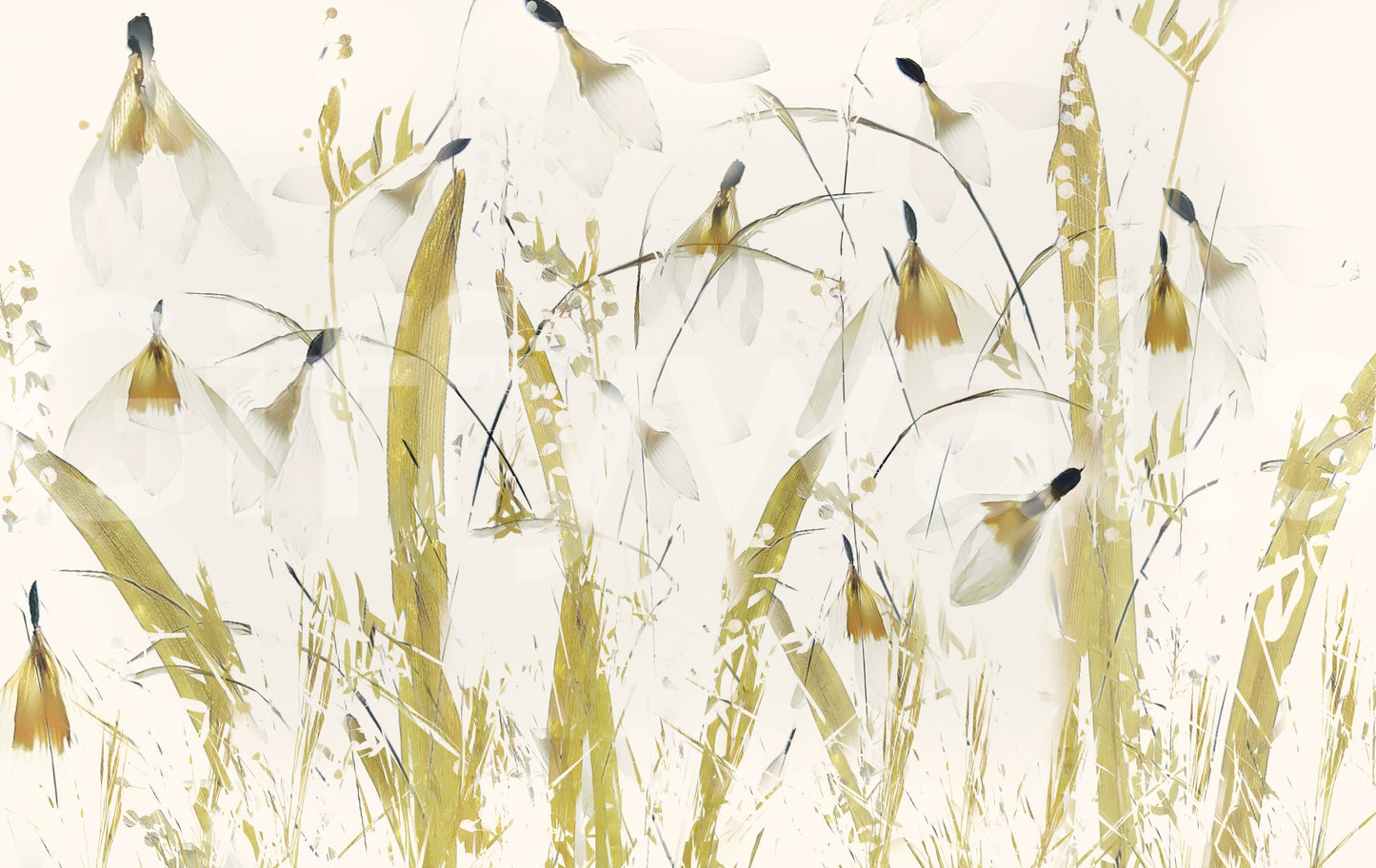 A high-quality abstract print wall mural for walls.