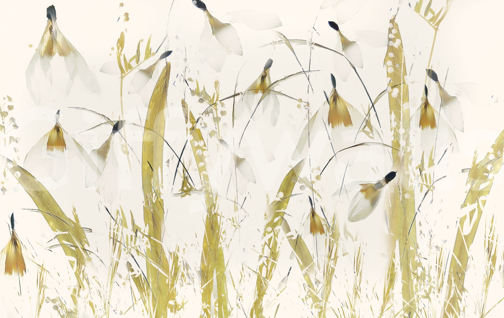 A high-quality abstract print wall mural for walls.