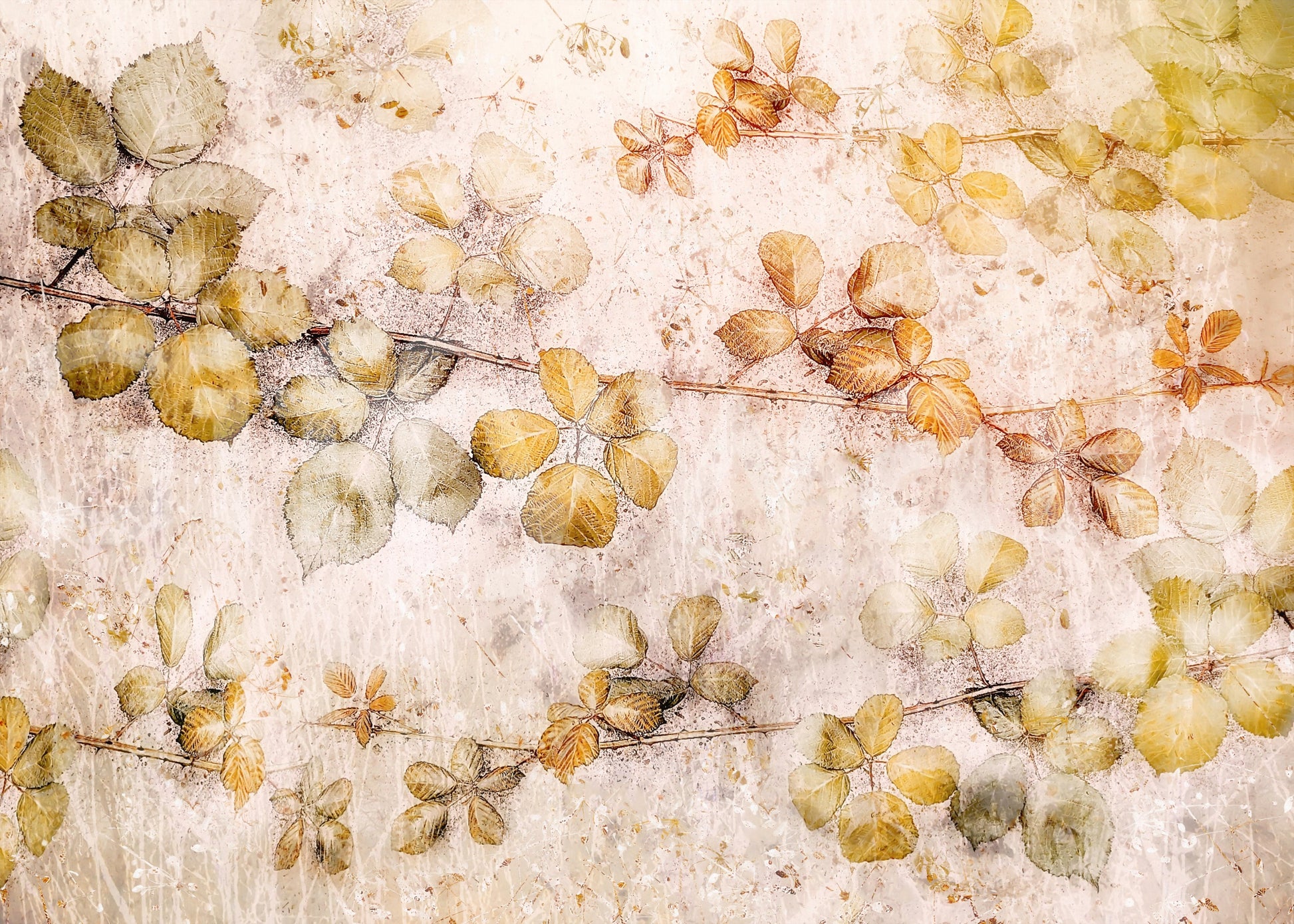 A high-quality serene leaf wall mural for walls.