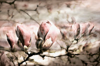 A calming floral design wallpaper mural that defines a space.