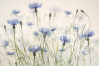 The image captures the unique, tranquil feel of the floral design.