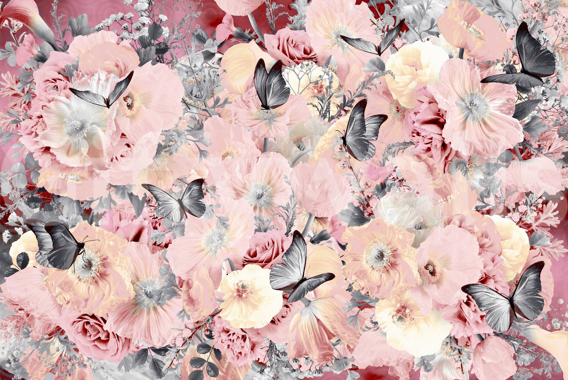 A high-quality serene flower wall mural for walls.