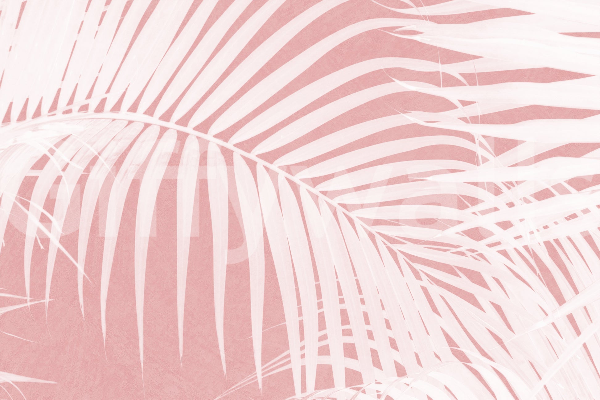 A high-quality serene leaf wall mural for walls.