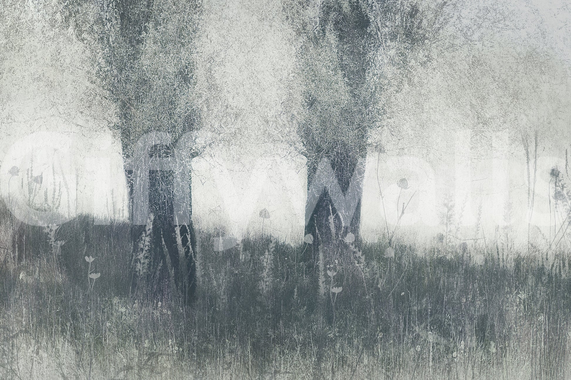 A high-quality minimalist tree wall mural for walls.