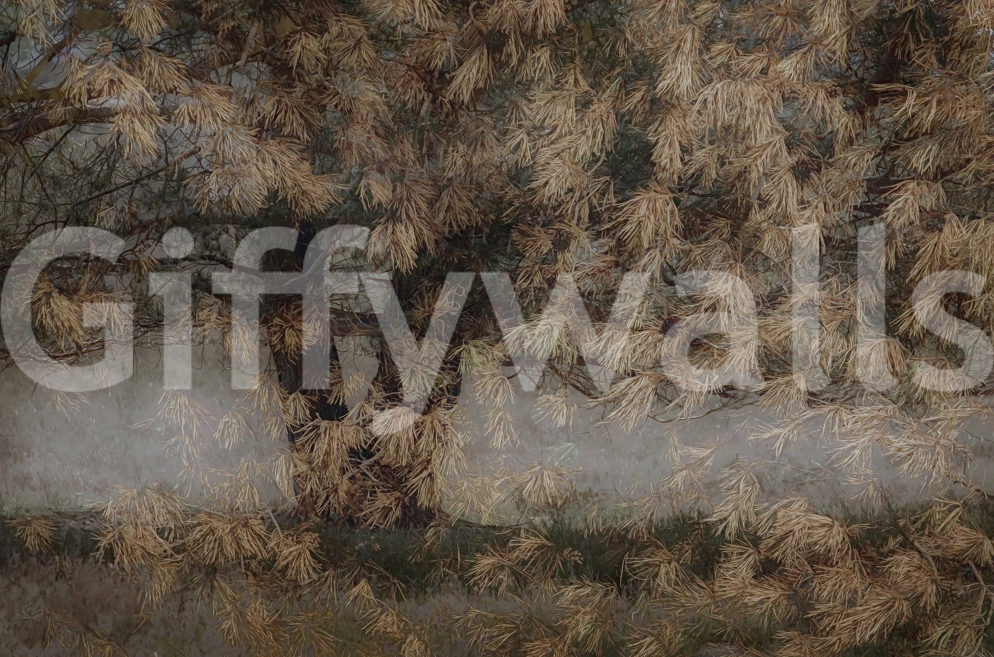 A high-quality minimalist tree wall mural for walls.