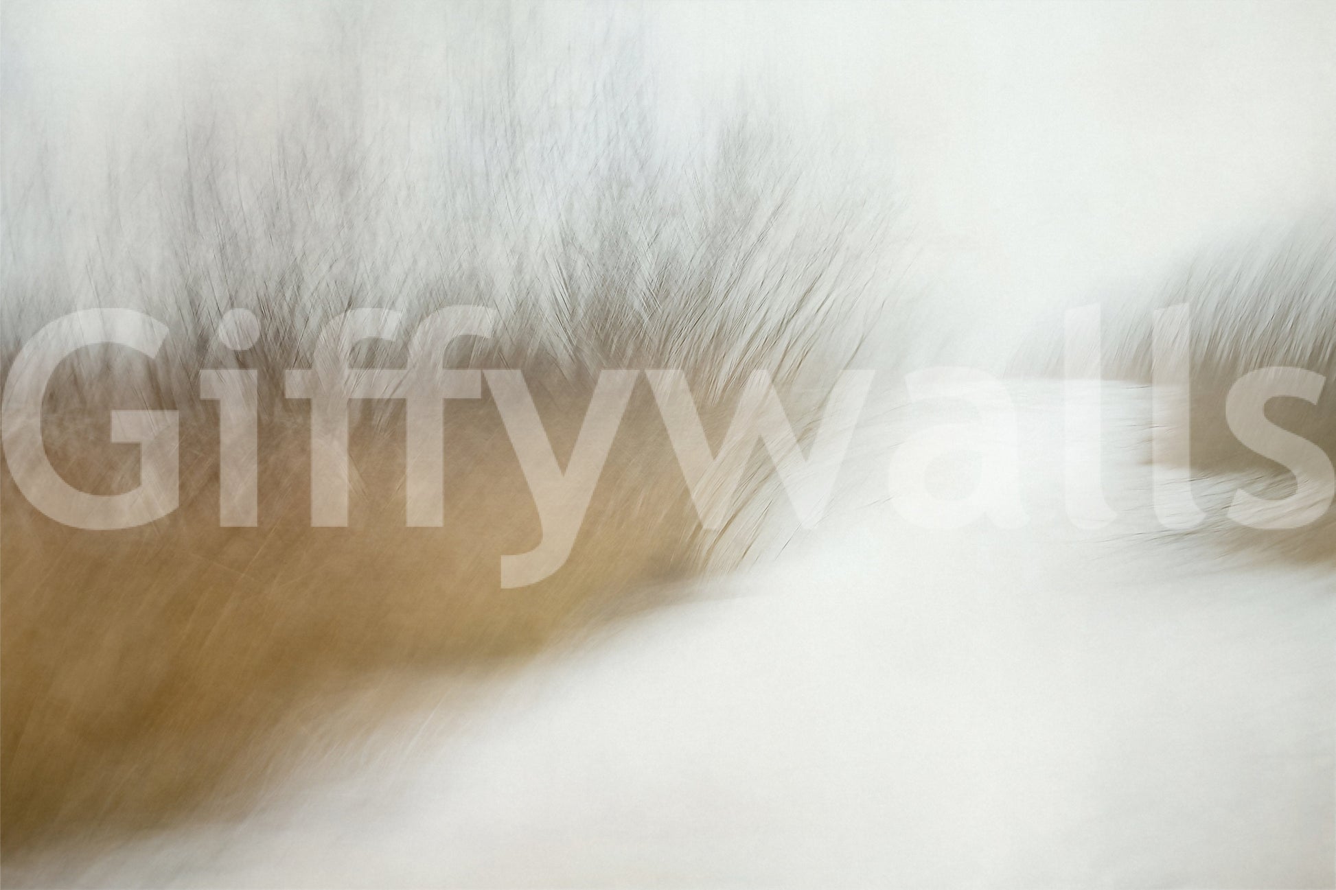 A high-quality abstract print wall mural for walls.