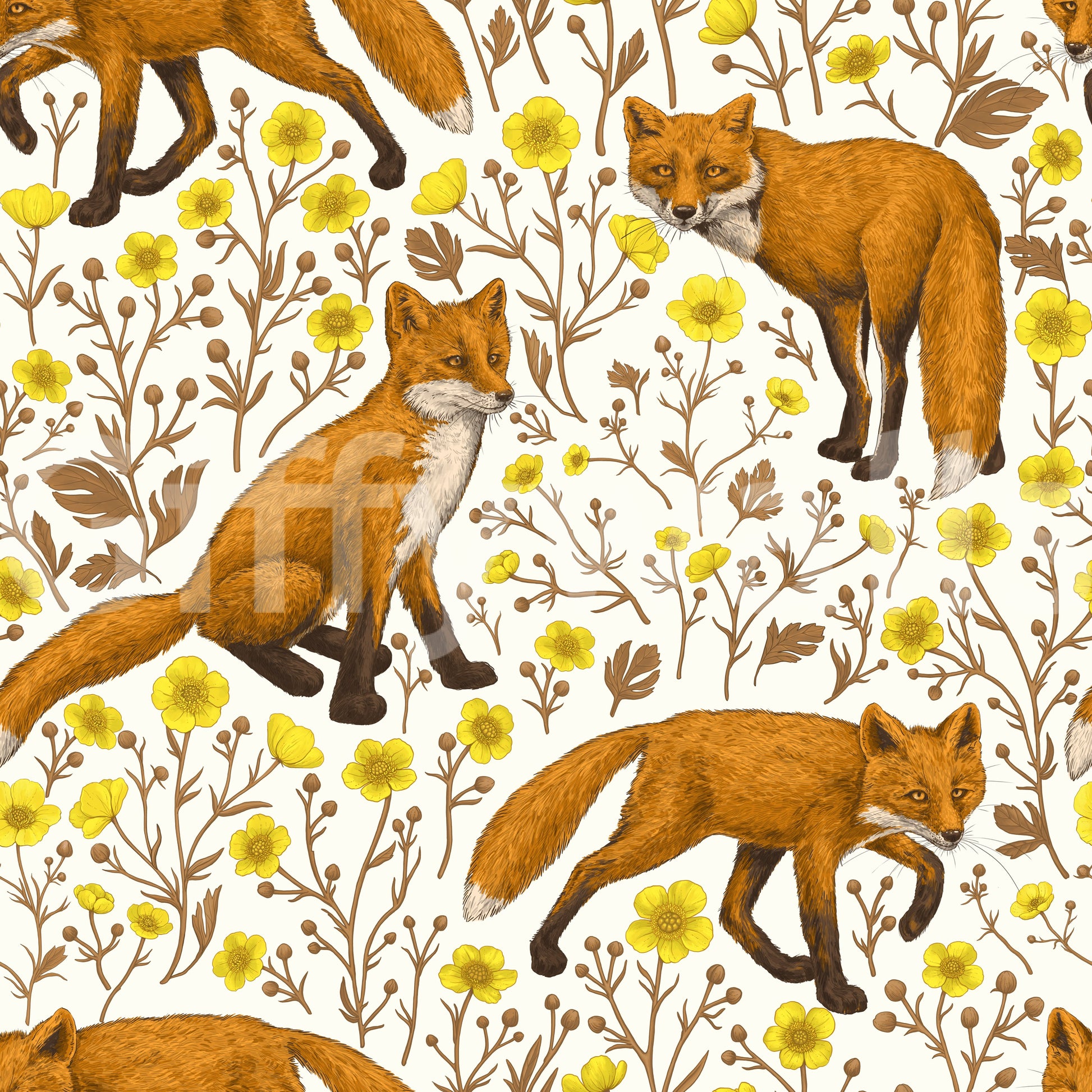 A high-quality serene fox wall mural for walls.