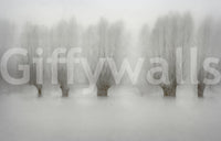 A high-quality minimalist tree wall mural for walls.