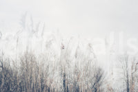 A high-quality abstract print wall mural for walls.