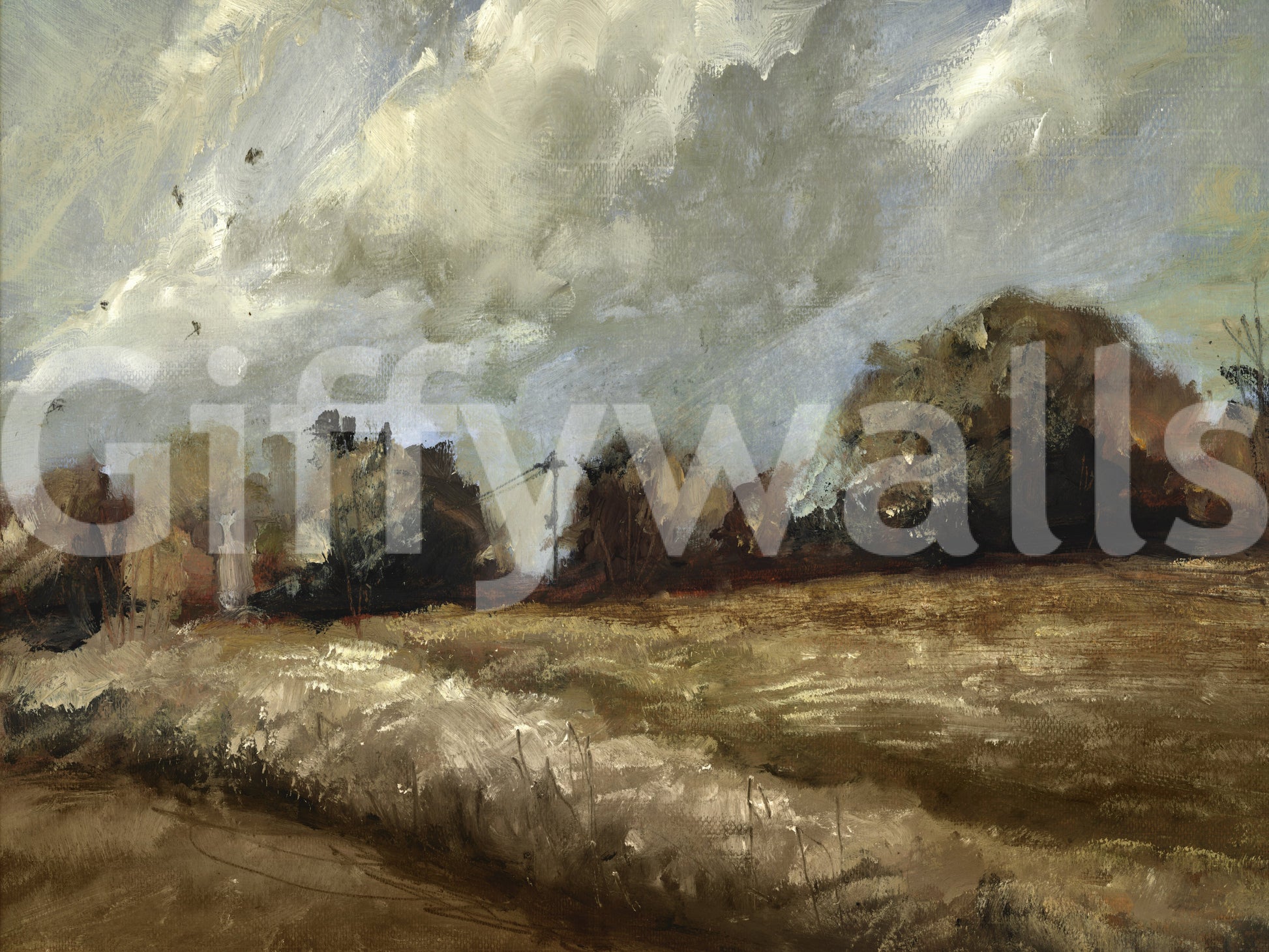 A high-quality abstract print wall mural for walls.