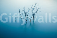 A high-quality abstract print wall mural for walls.