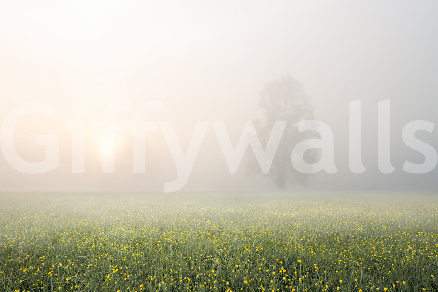 A high-quality minimalist wall mural for walls.