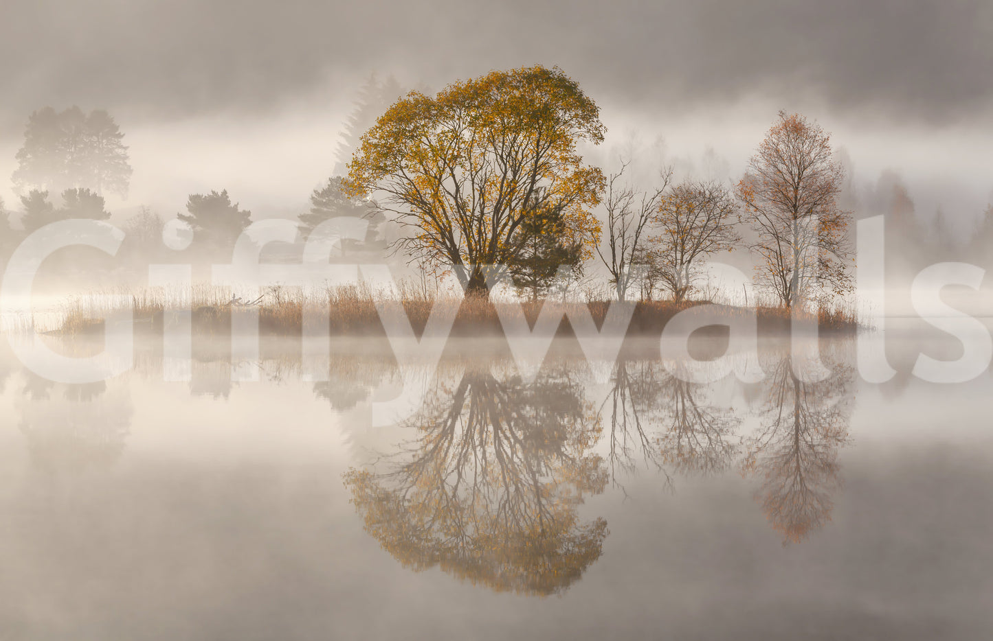 A high-quality rustic wall mural for walls.