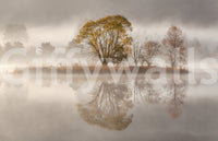 A high-quality rustic wall mural for walls.