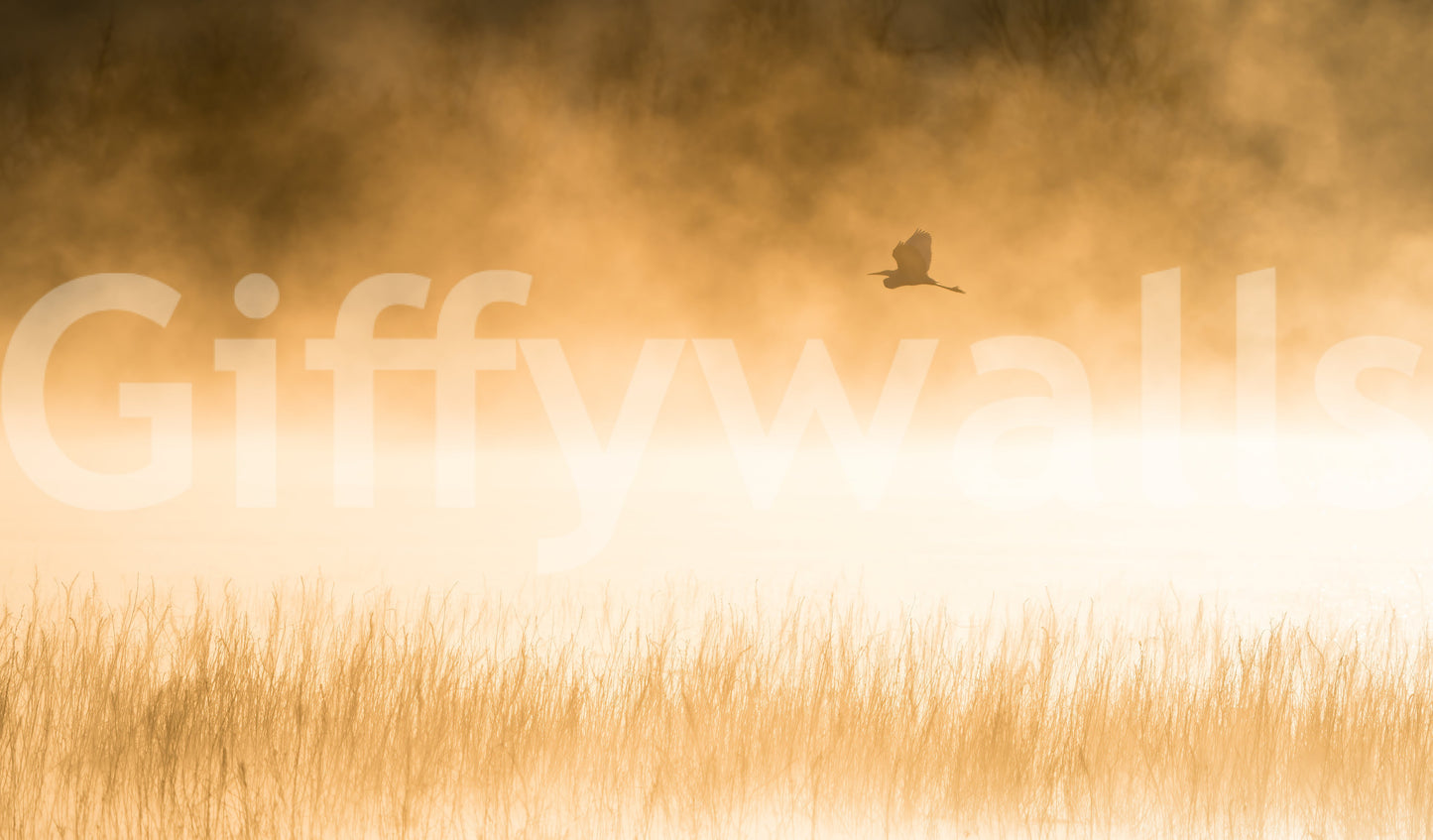 A high-quality abstract print wall mural for walls.