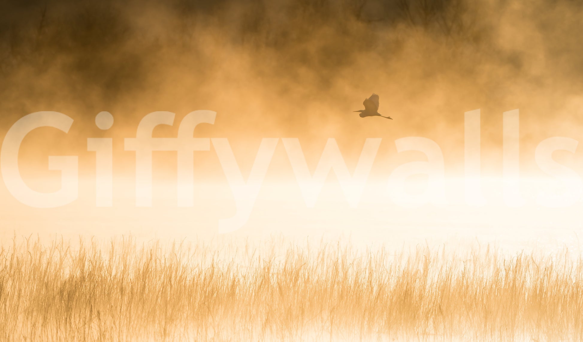 A high-quality abstract print wall mural for walls.