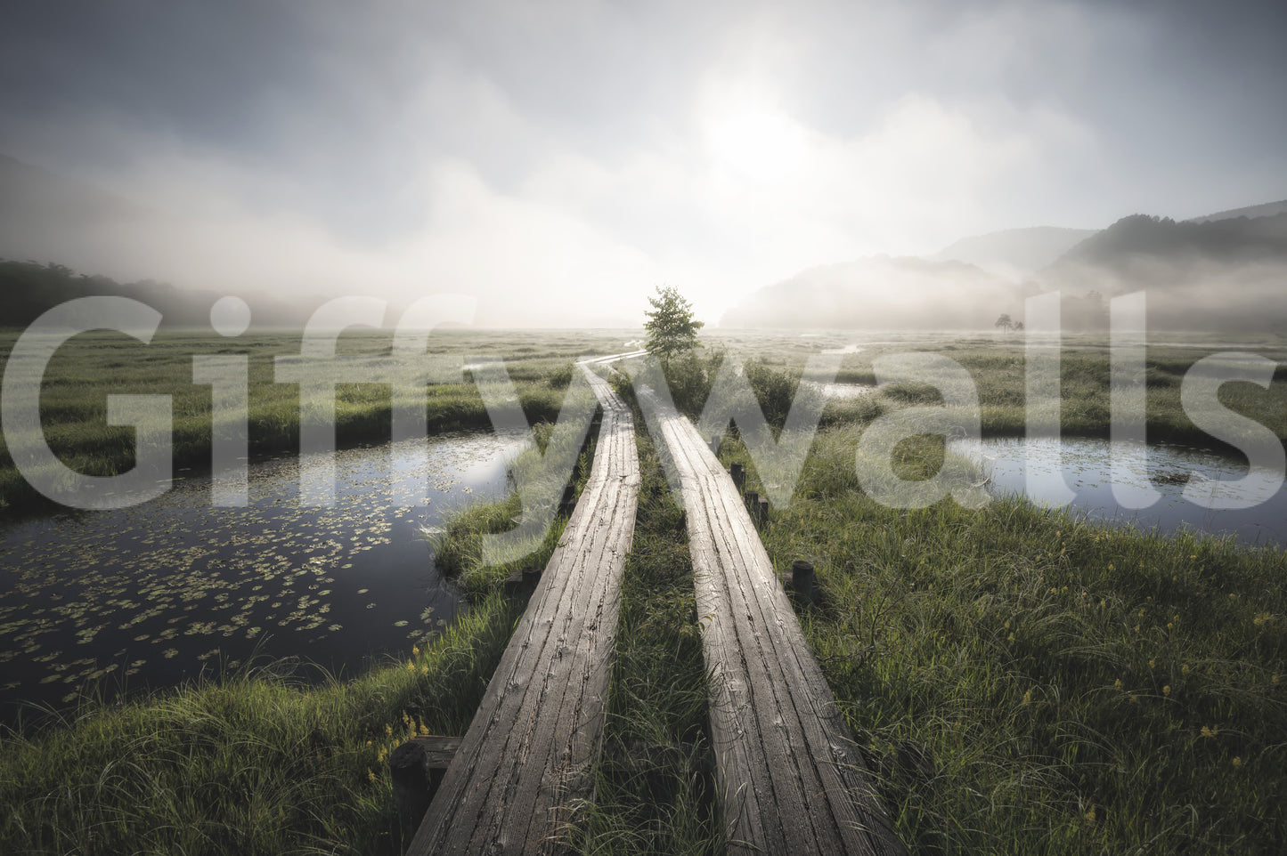 A high-quality minimalist tree wall mural for walls.