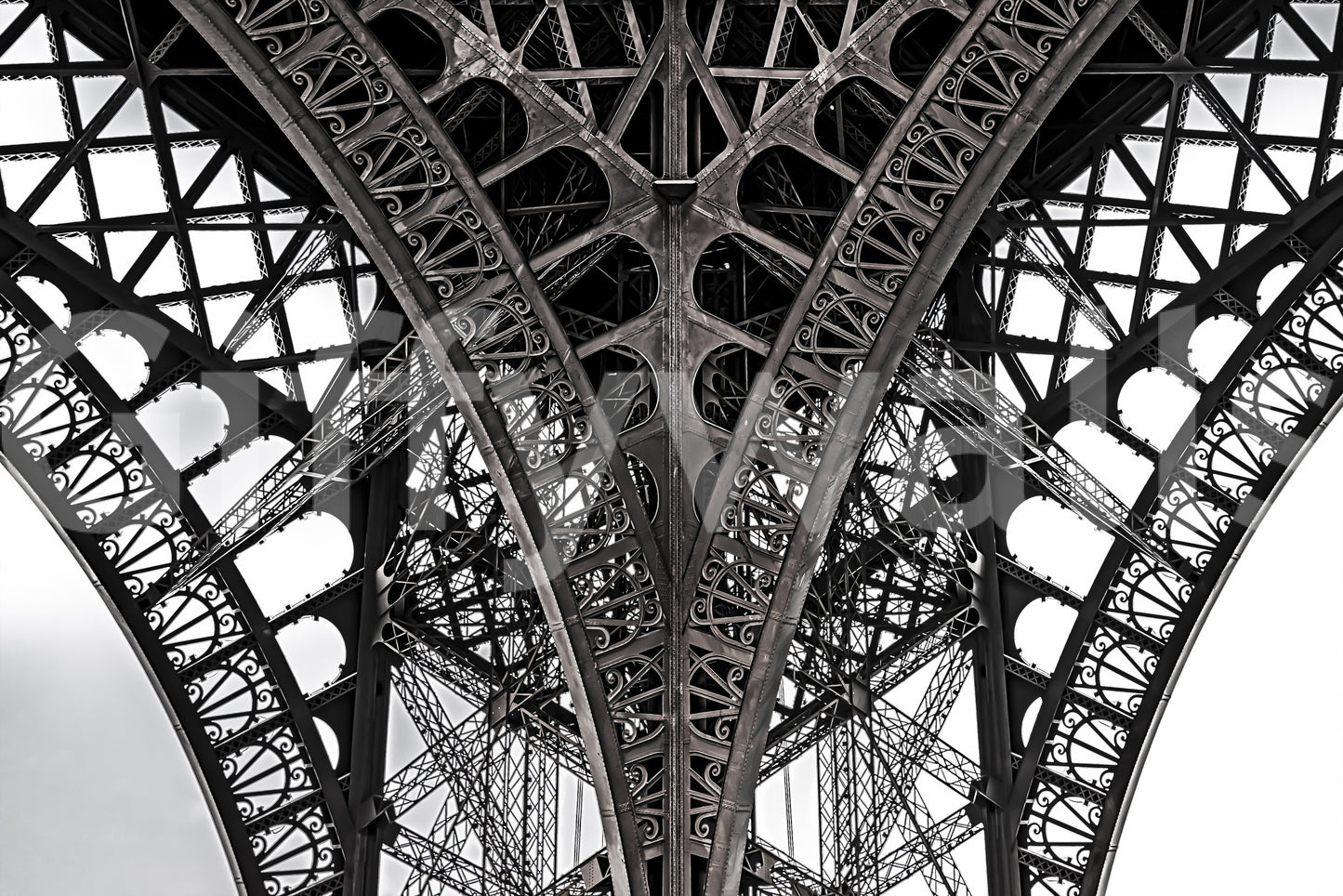 Eiffel's Ascent Wall Mural