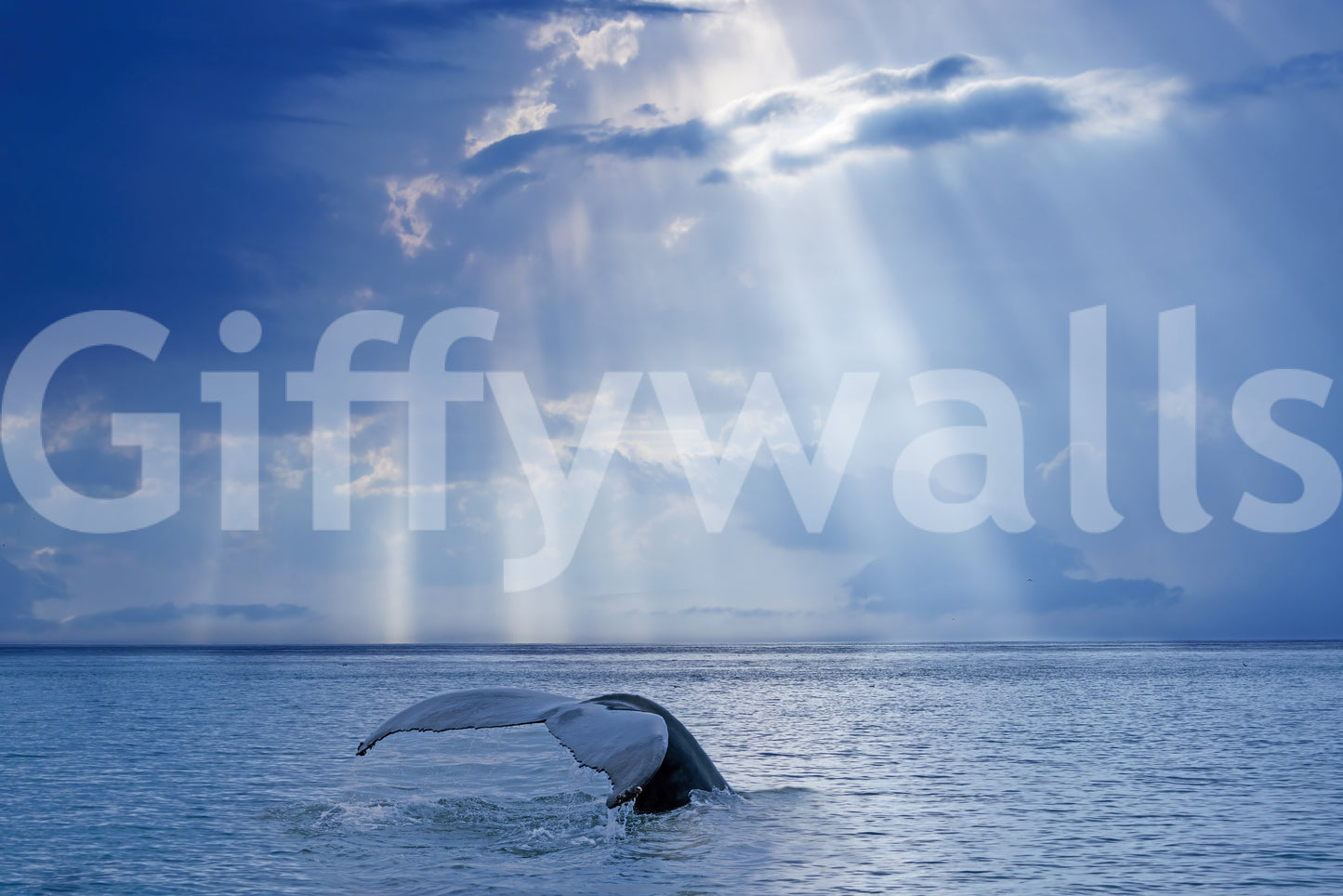 Ocean's Grace Wall Mural