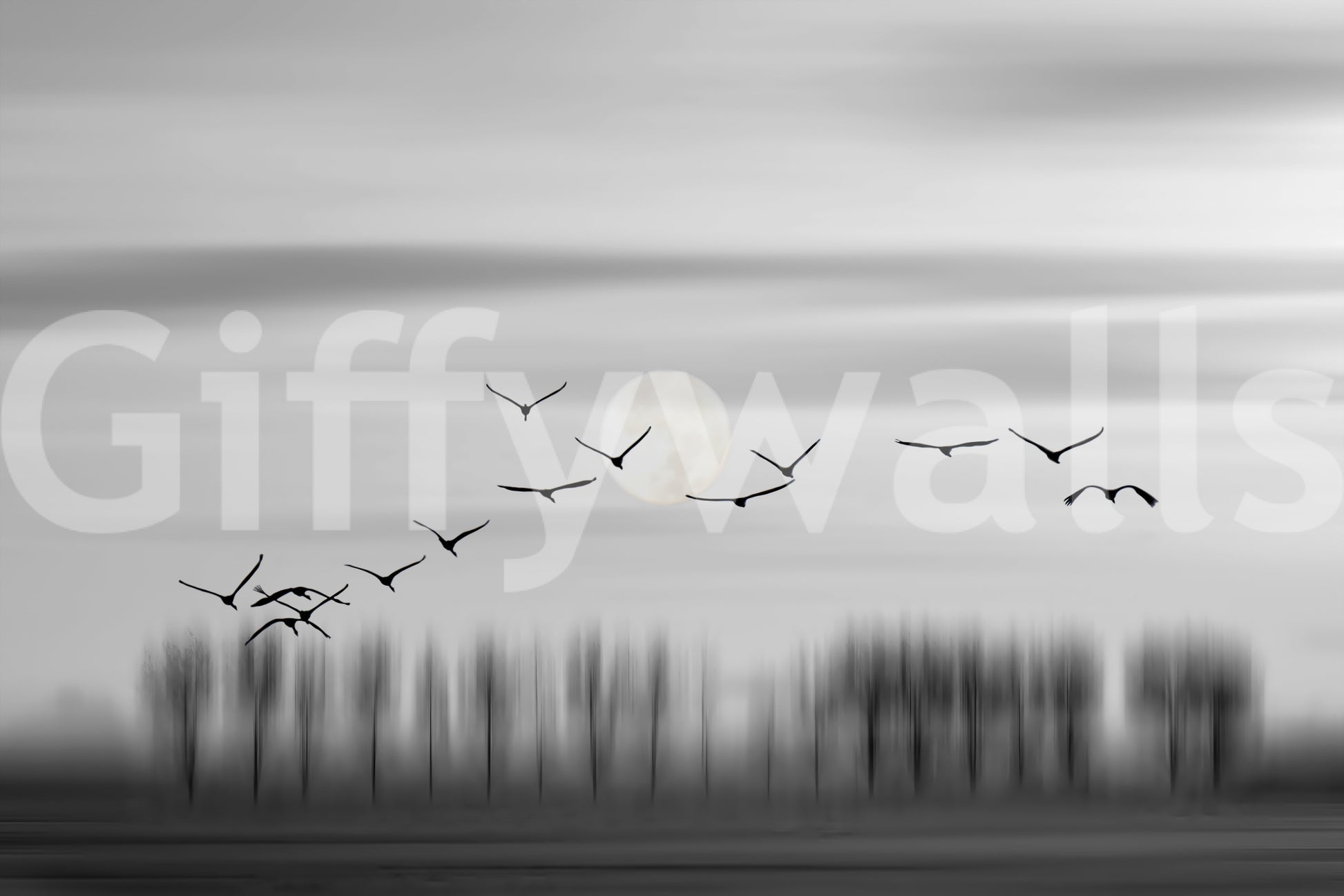 A high-quality abstract print wall mural for walls.