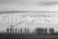 A high-quality abstract print wall mural for walls.