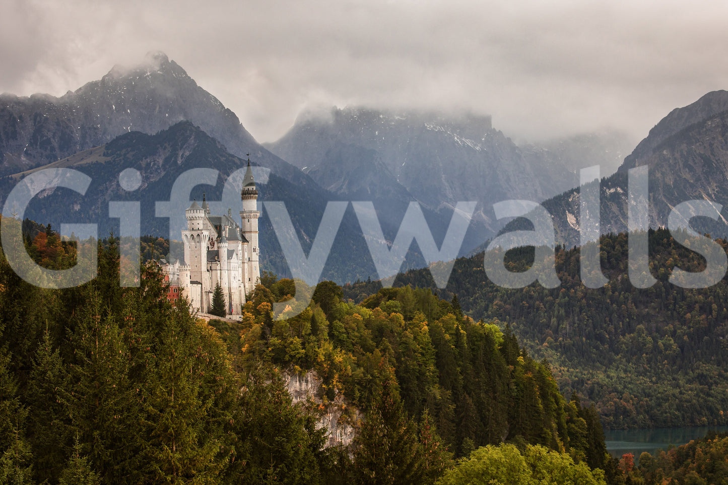 A high-quality abstract print wall mural for walls.