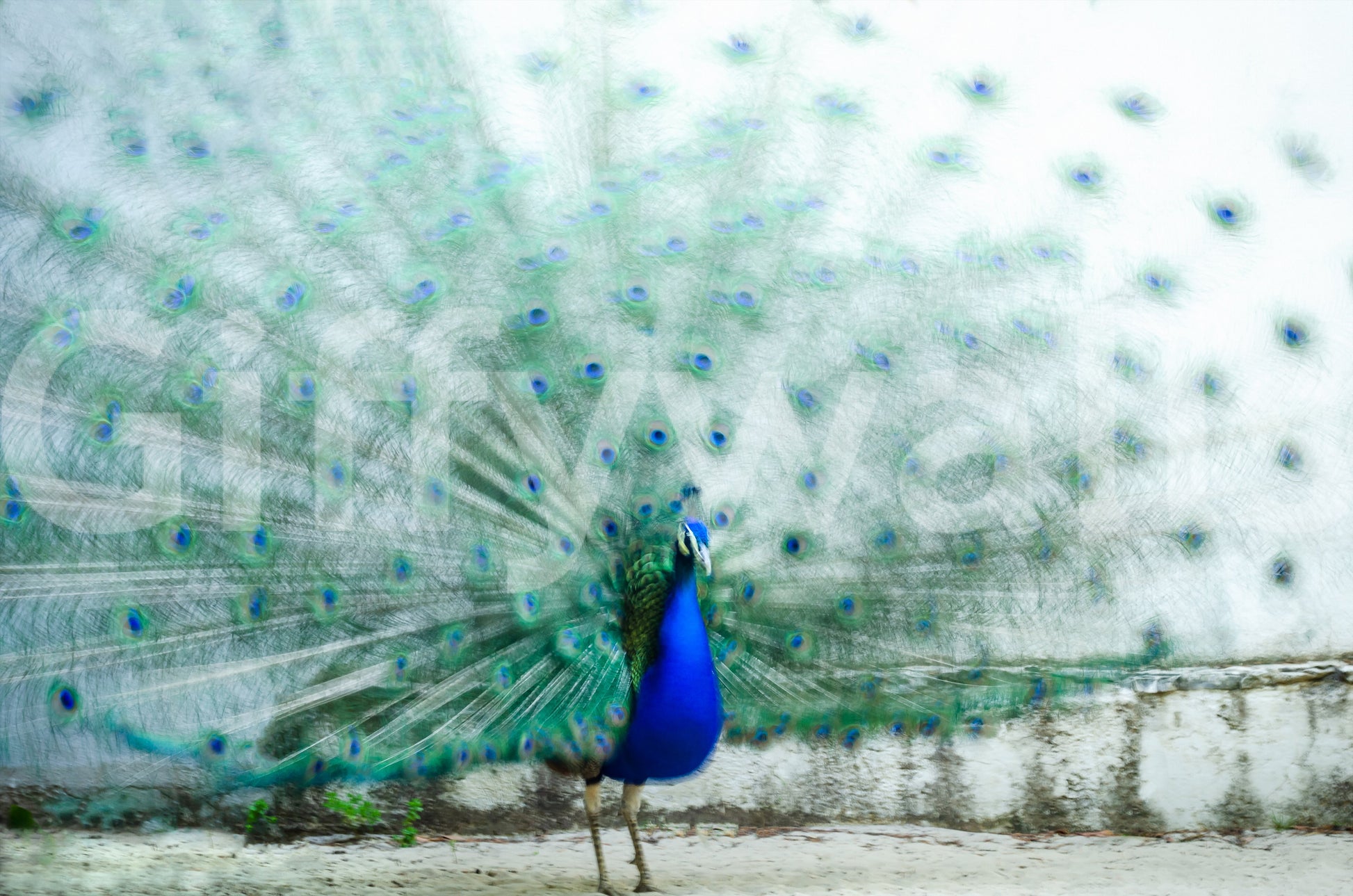 A high-quality abstract print wall mural for walls.