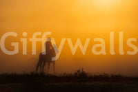 A high-quality minimalist vista wall mural for walls.