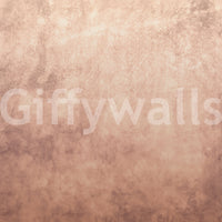 A high-quality abstract print wall mural for walls.