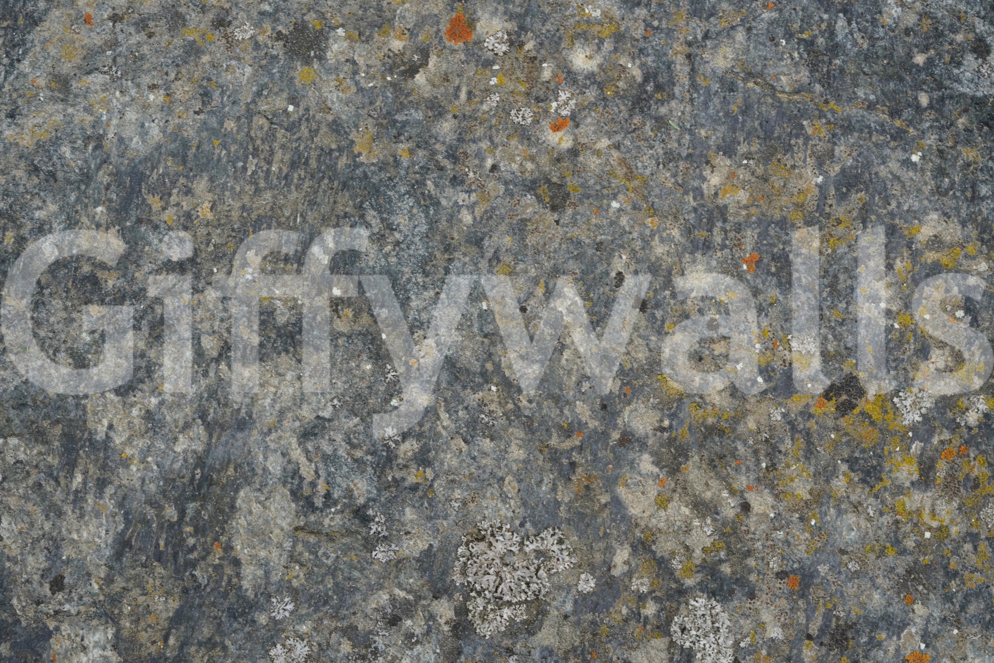 A high-quality minimalist wall mural for walls.