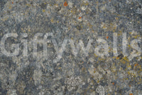 A high-quality minimalist wall mural for walls.