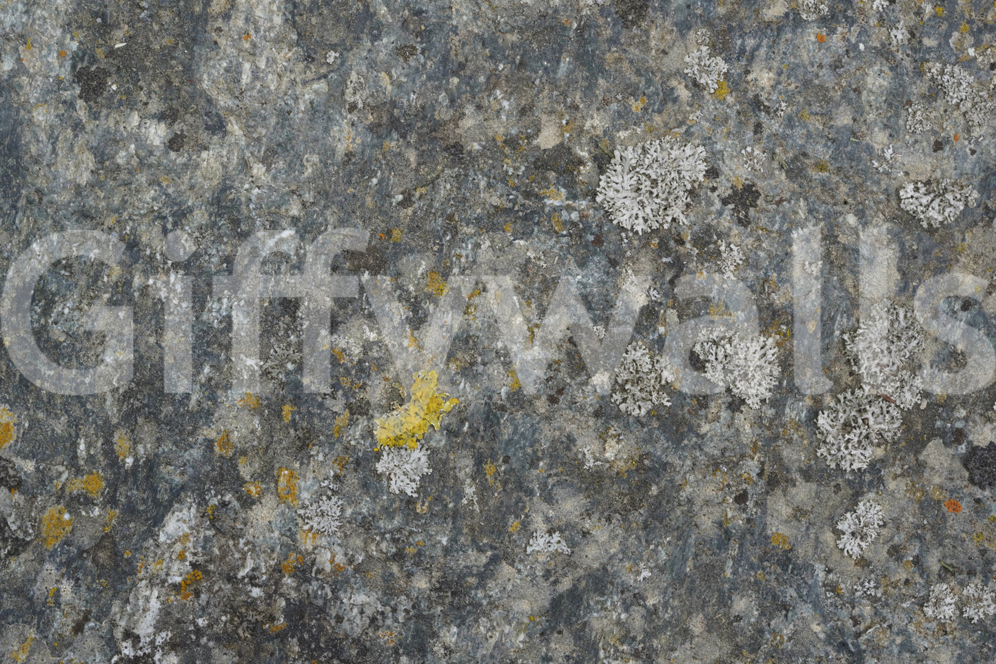 A high-quality minimalist wall mural for walls.