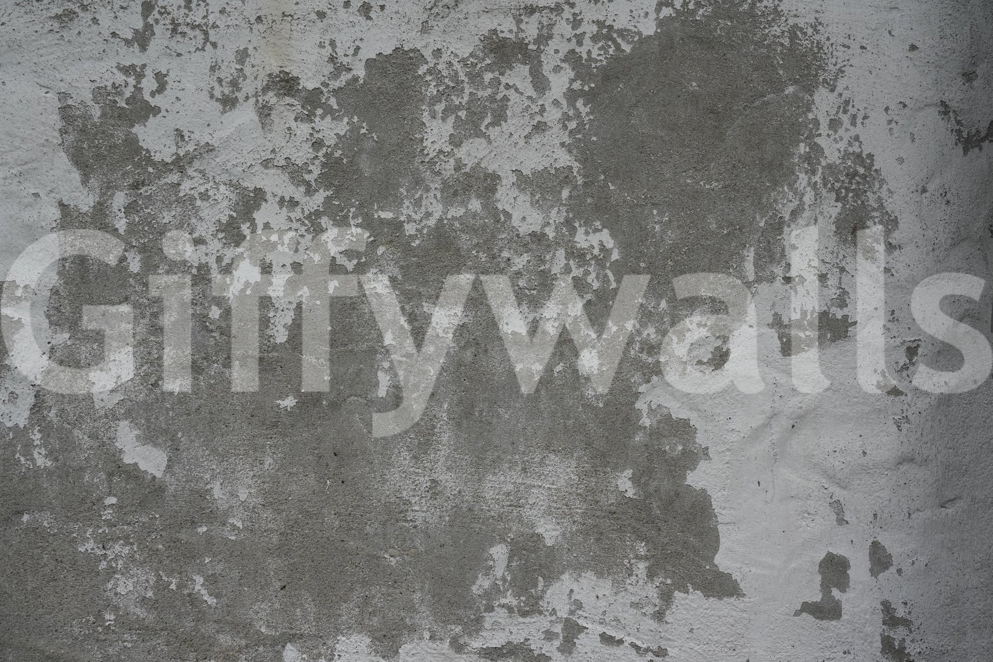 Distressed Wall mural adding character to a contemporary room.