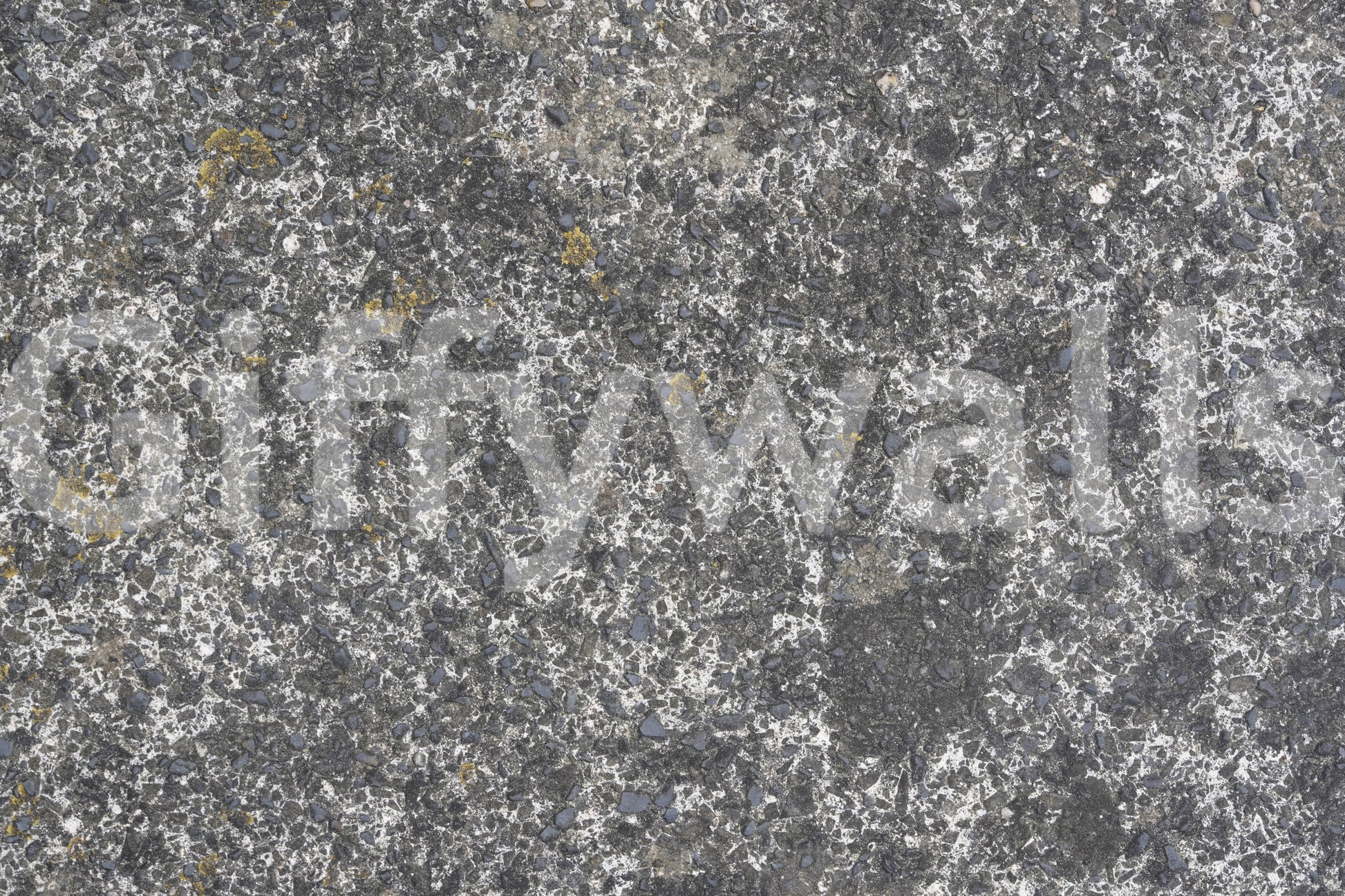 Full wall view of speckled stone wallpaper mural.