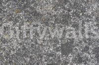 Full wall view of speckled stone wallpaper mural.