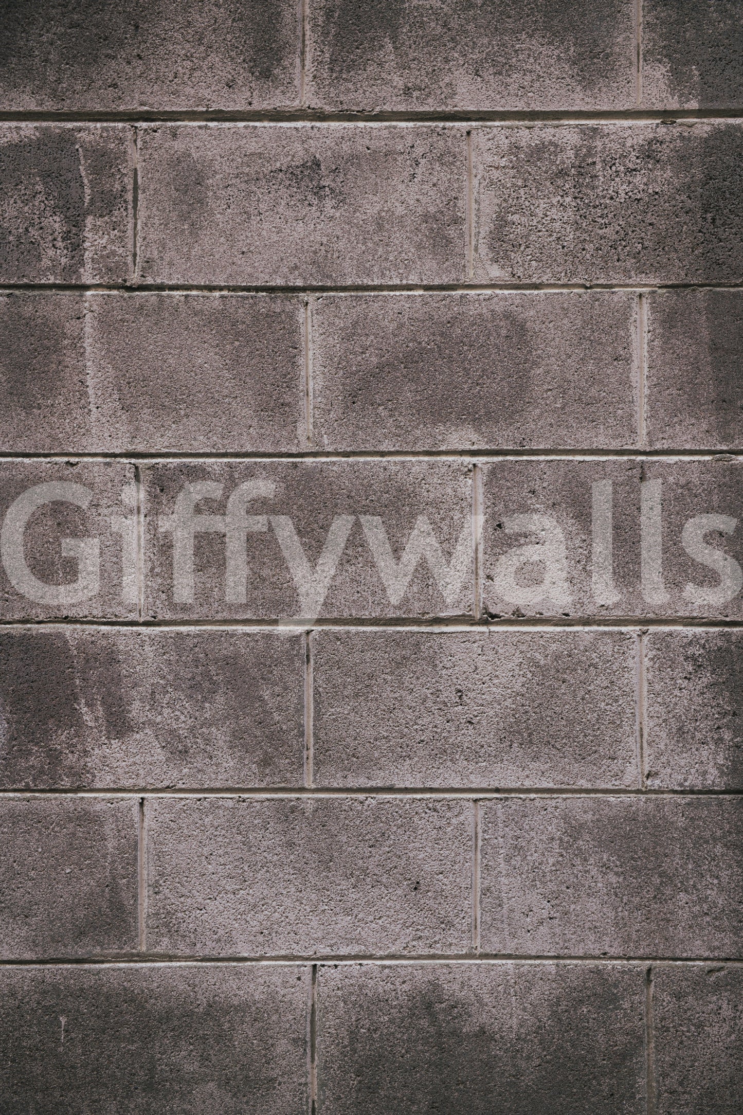 Subtle textured plaster effect in a wabi-sabi living space mural.