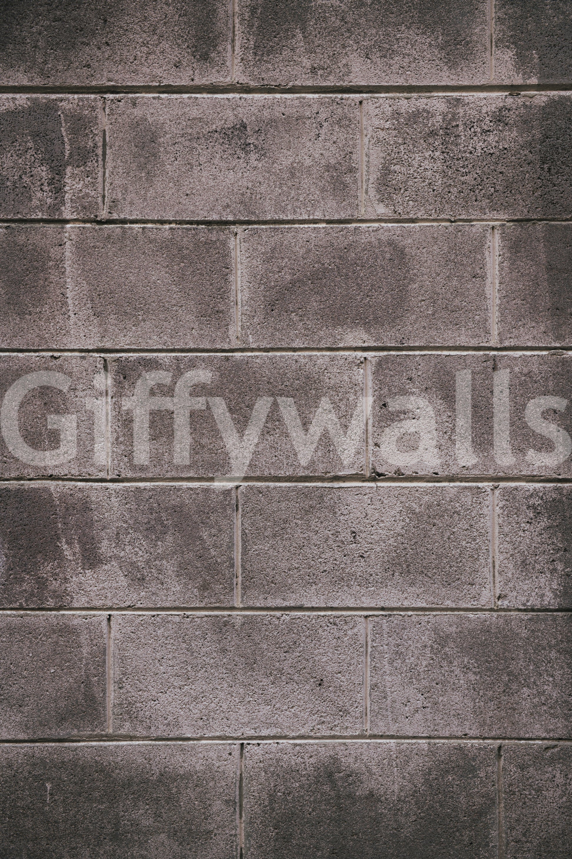 Subtle textured plaster effect in a wabi-sabi living space mural.