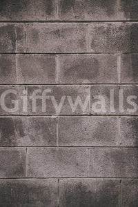 Subtle textured plaster effect in a wabi-sabi living space mural.