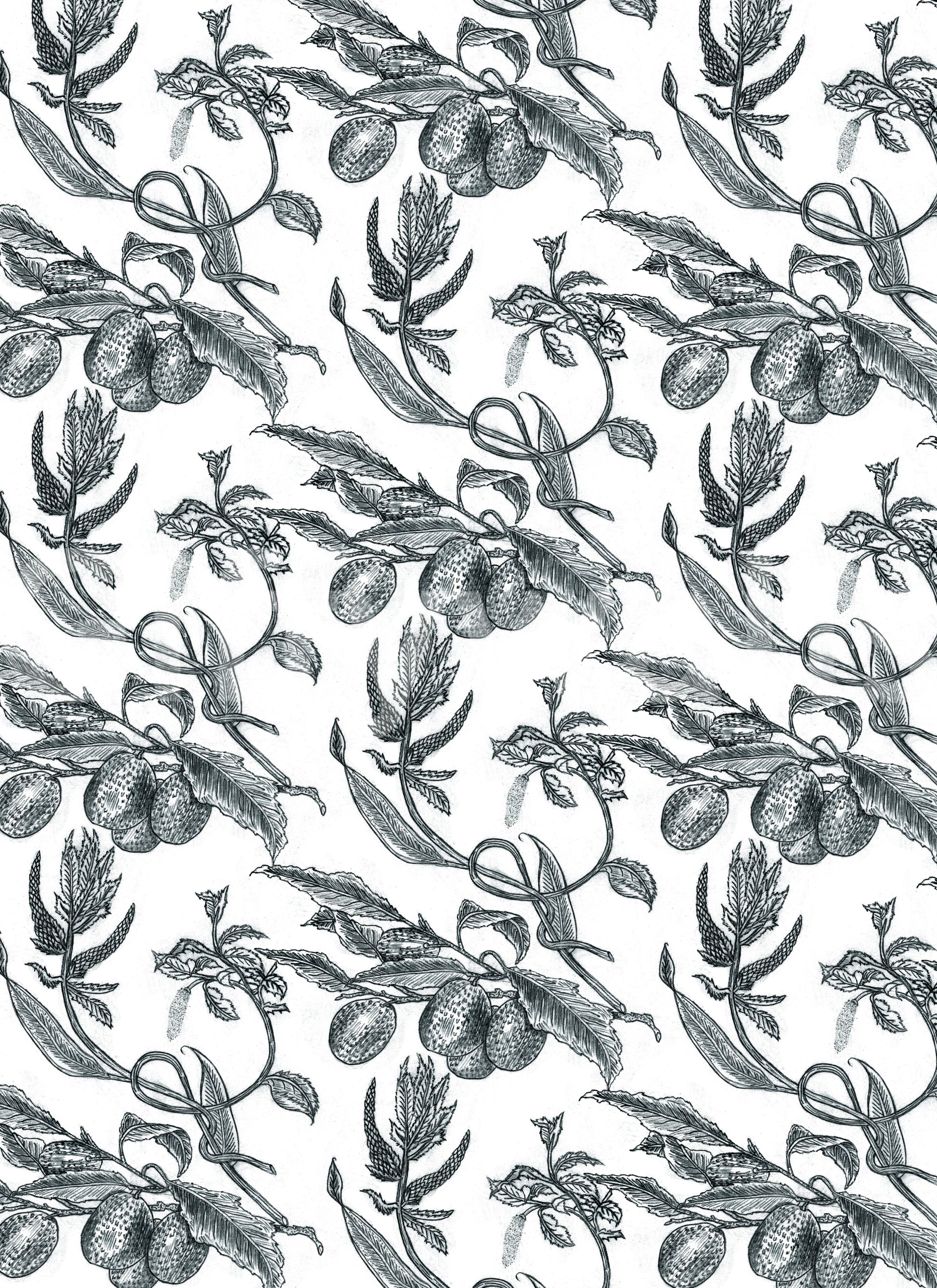 Ornate passion fruit motif, Pé de Maracujá wall graphic paper.