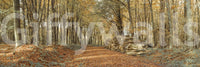 Seasonal home Autumn Forest Scene Wall Mural design visual.