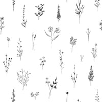 Tender Stem Black-White Wallpaper Botanical Sketch Wallpaper