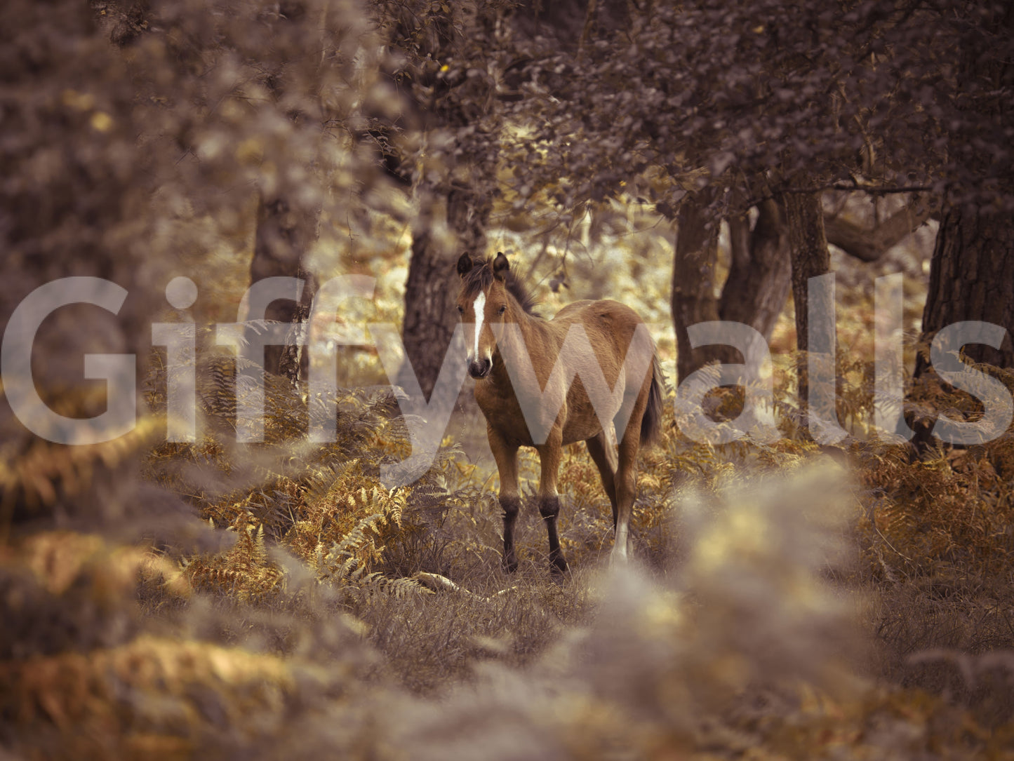 Dreamy Wild Horse scene, nature-themed wall mural, subtle colors.