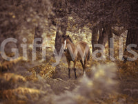 Dreamy Wild Horse scene, nature-themed wall mural, subtle colors.