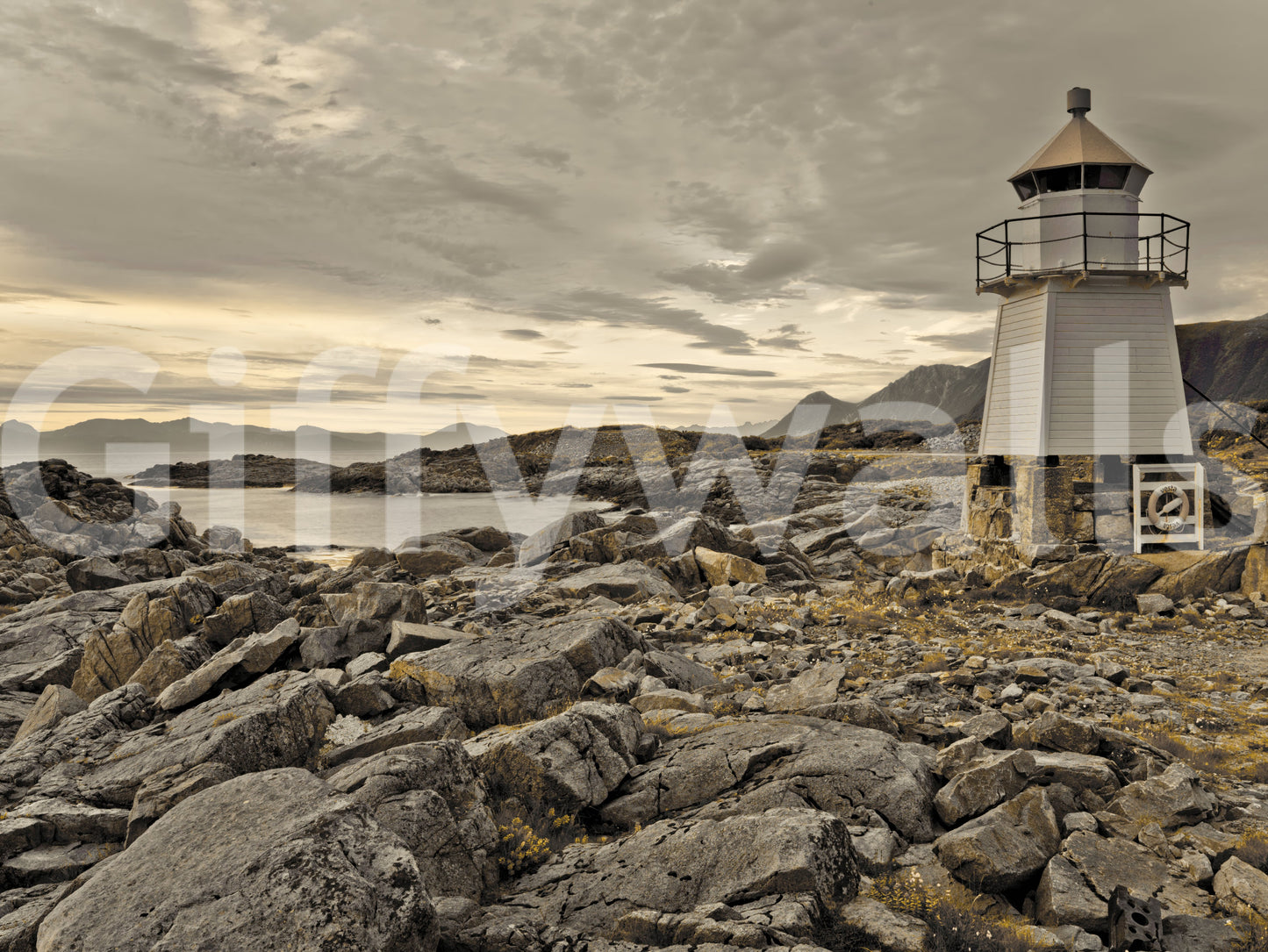 Wild coastal nature on Guardian of the Coast peel and stick wallpaper.