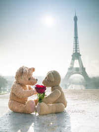 Heartwarming Paris Bears in Love Wall Mural themed wallcovering.