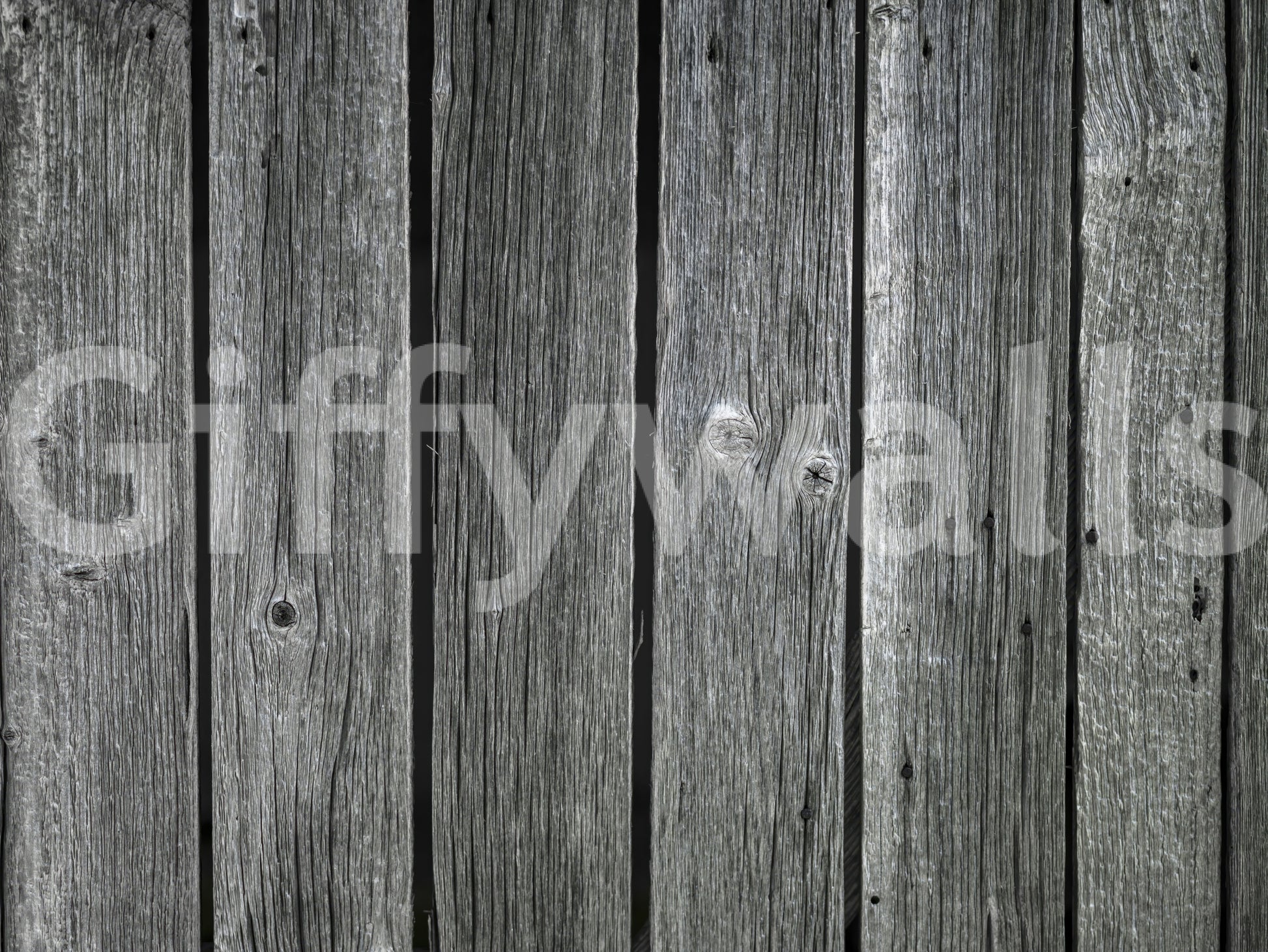 Realistic gray planking Weathered Wood Panel Wall Mural, stylish wall decor.